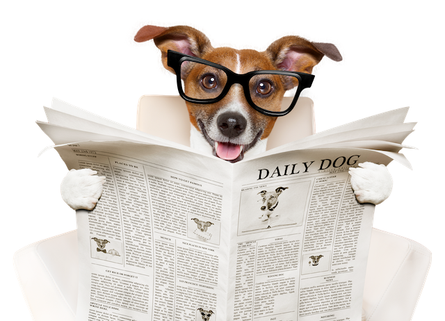 Dog reading newspaper - Goodcharlie.com