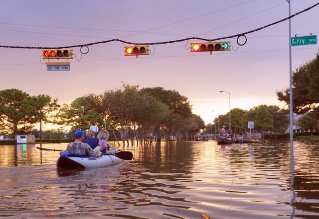 How to Prepare and Keep Your Pets Safe During Hurricane Season