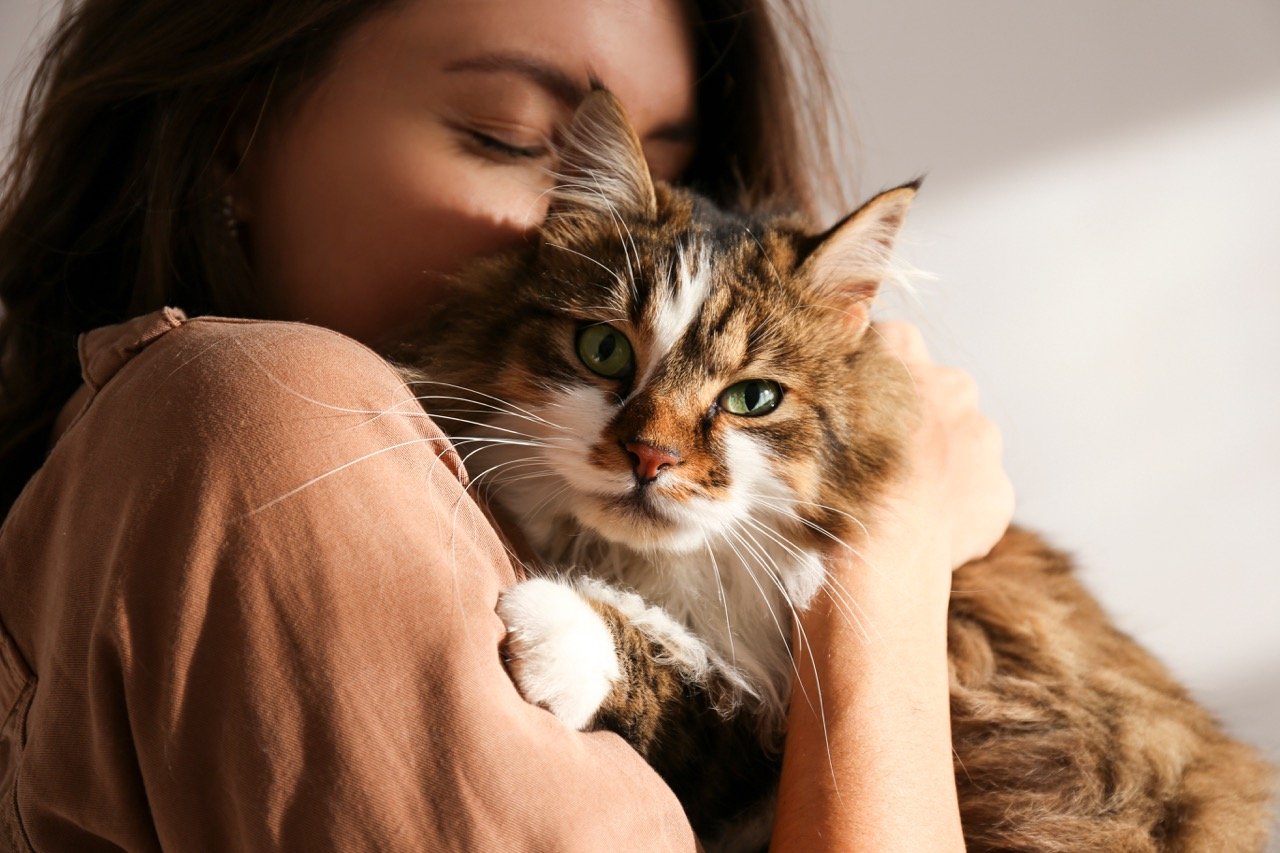 Understanding Your Cat’s Body Language