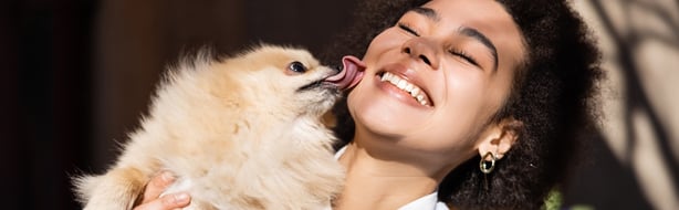 Why do Dogs Lick You-1