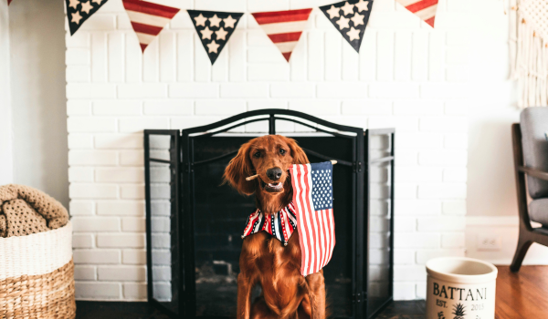 Keep Pets Safe on the 4th of July