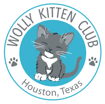 wolly kitten club logo